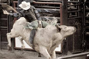 High Country Stampede Rodeo