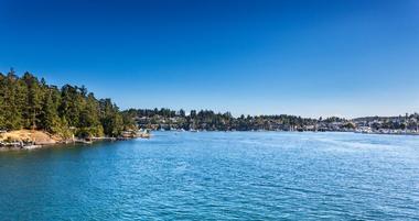 25 Best Things to Do in Friday Harbor, WA