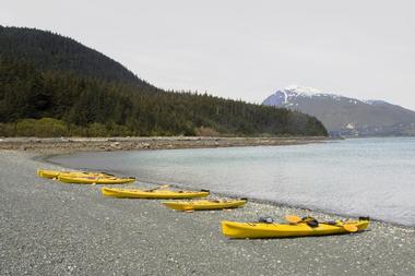 Go on a tour with Chilkat Guides, Ltd.