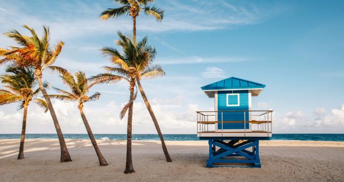 Best Things to Do in Hollywood, Florida