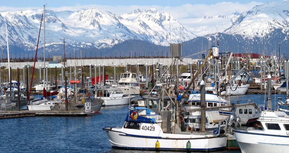 25 Things to Do in Homer, AK