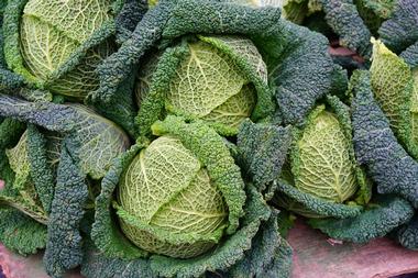 Go for a stroll at the Homer Farmers Market