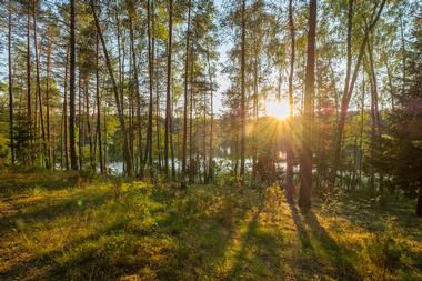 Lake Catherine State Park