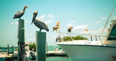 25 Best Things to Do in Islamorada 