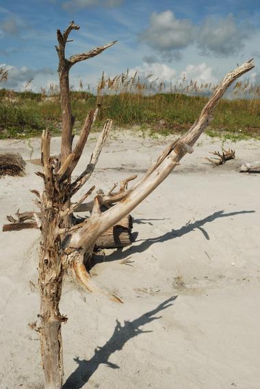 Little Talbot Island State Park