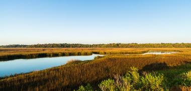 Timucuan Ecological and Historic Preserve