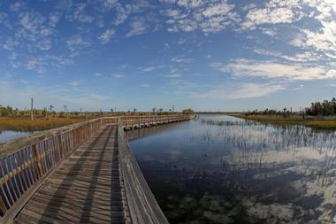 Castaway Island Preserve