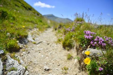 Hagerman Pass