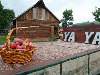 Ya Ya Farm and Orchard