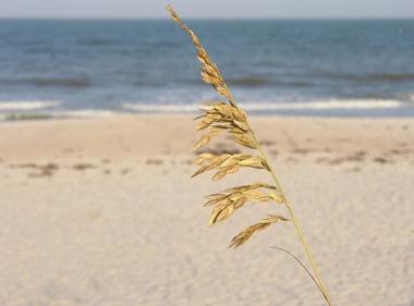 Nicholas Canyon Beach