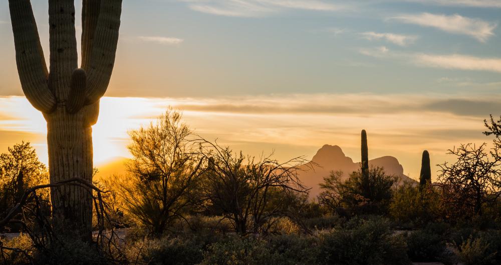 18 Best Things to Do in Marana, AZ