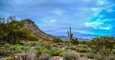 Things to Do in Maricopa, Arizona