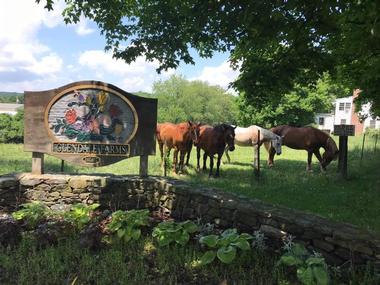 Glendale Farms