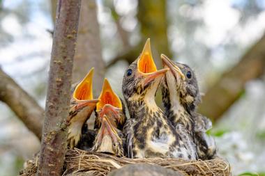 Connecticut Audubon Society Coastal Center