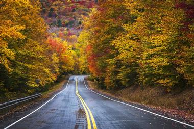 White Mountain National Forest