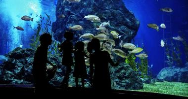 25 Best Things to Do in Oklahoma with Kids