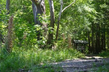 Tomoka State Park