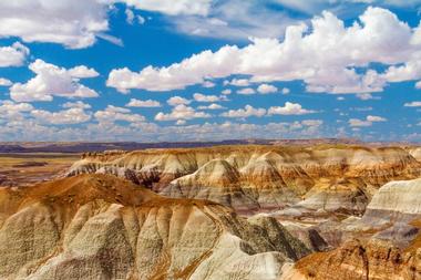 Petrified Forest National Park