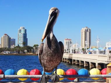 Skyway Fishing Pier State Park