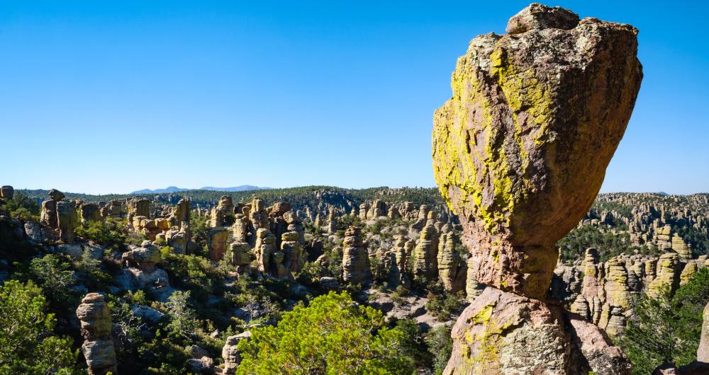 16 Best Things to Do in Willcox, Arizona