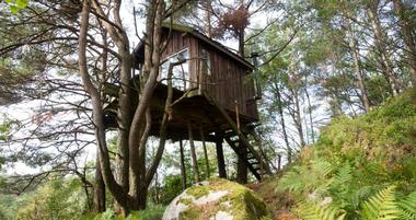 Best Treehouse Hotels & Rentals