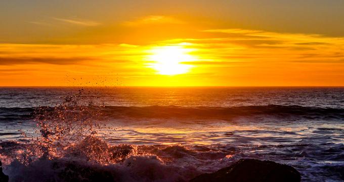 Bodega Bay Beaches