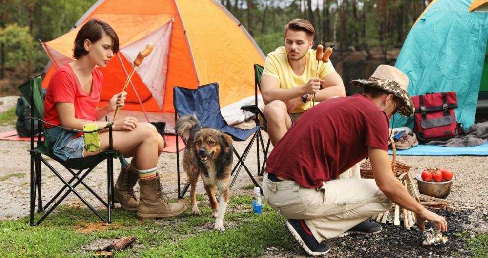 25 Camping With Dogs USA