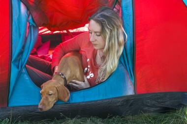 Head to Loft Mountain Campground, Shenandoah Valley