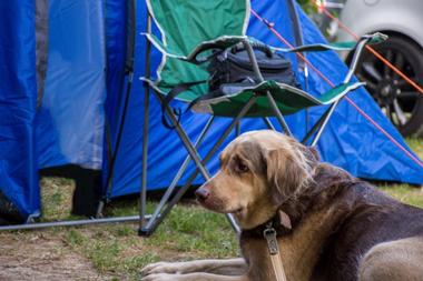 Head to Serrano Campground, San Bernardino Mountains