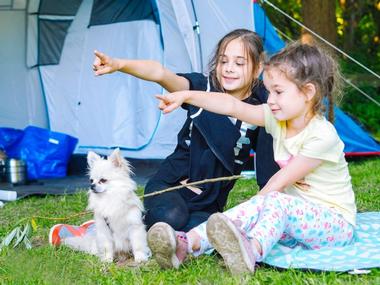 Book a pet-friendly spot at the Wakeda Campground, NH