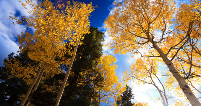 25 Colorado Parks