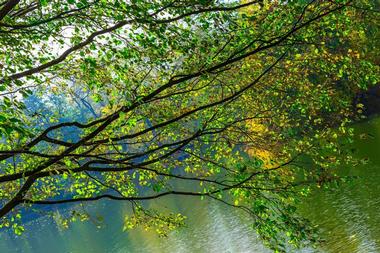 Millers Pond State Park