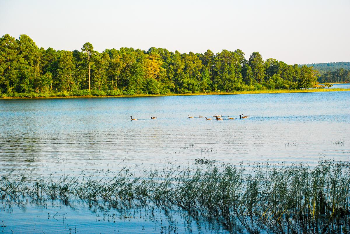 DeGray Lake Resort State Park