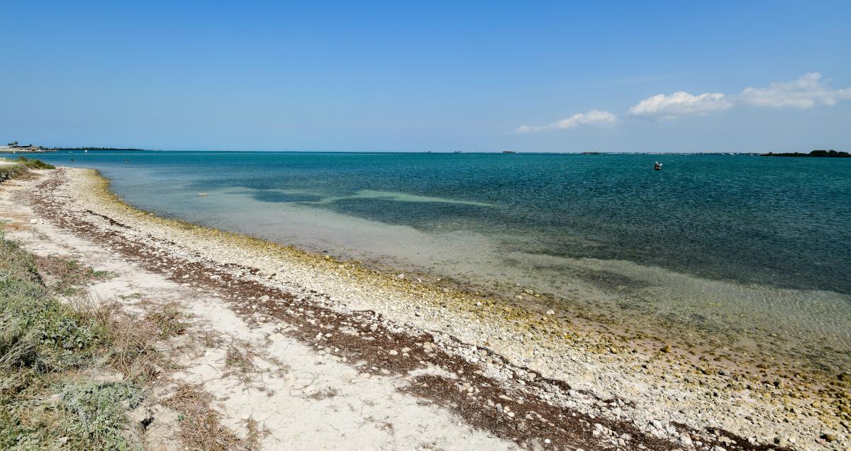 Dunedin FL Beaches