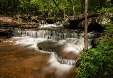 Collins Creek Cascade and Trout Stream