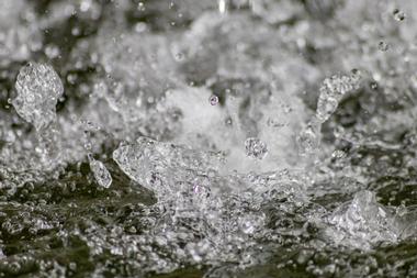 Swim in Frenchman’s Hole