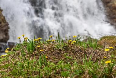 Hike to Big and Little Niagara Falls