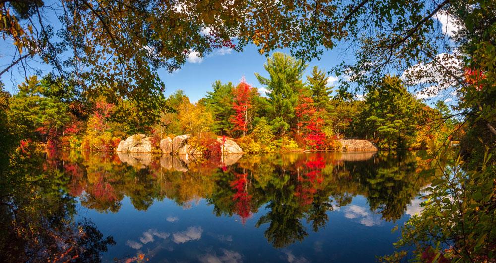 Fall Foliage in New England