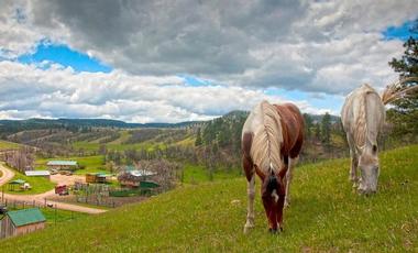 Diamond 7 Bar Guest Ranch, Wyoming