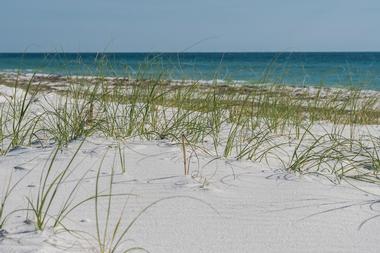 Julian G. Bruce St. George Island State Park