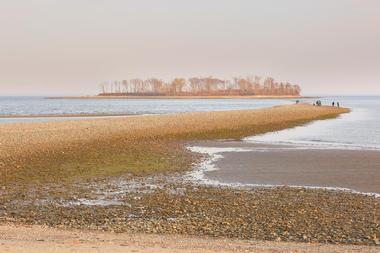 In the Morning, Explore the Silver Sands State Park