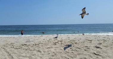 Point Pleasant Beach