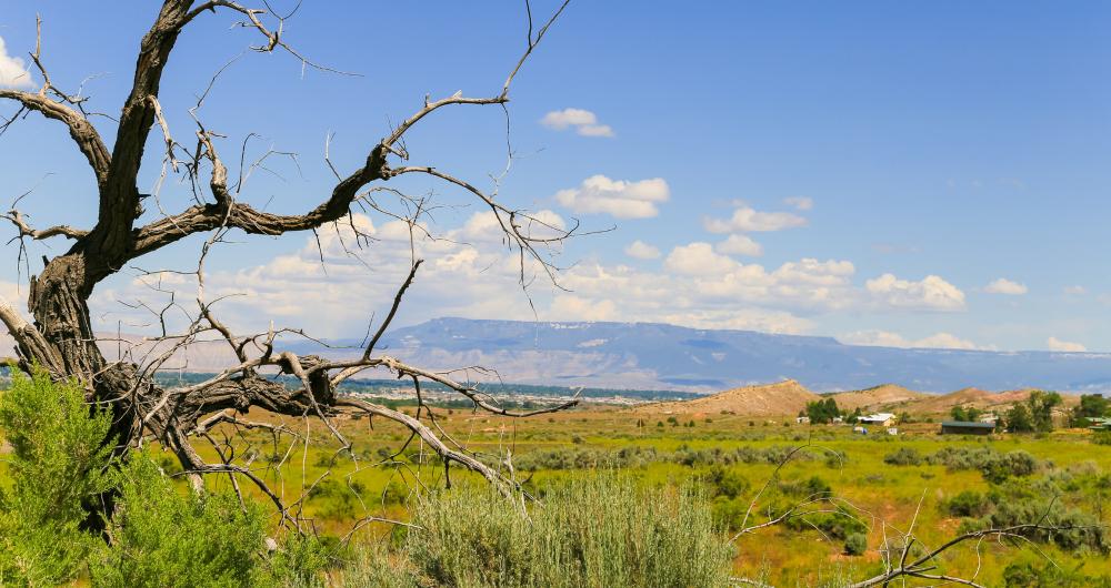 Grand Junction, CO Elevation