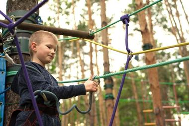 Alaska Mountain Guides - Adventure Park and Zip Line