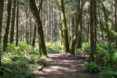 Illahee State Park