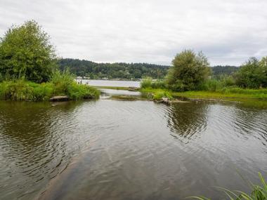 Lake Sammamish State Park