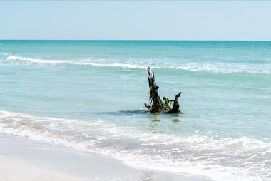 Captiva Beach