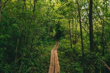 Appalachian Trail