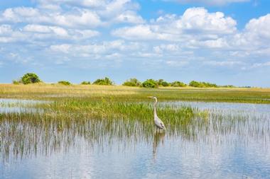 Everglades National Park