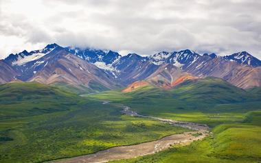 Denali National Park